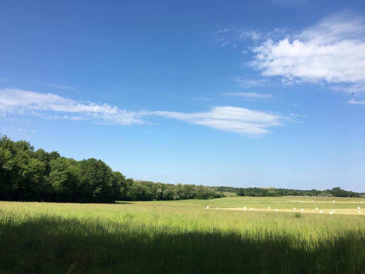 French Fields Luxury Glamping Original Mongolian Yurt Hotel Le-Vieux-Cerier Bagian luar foto